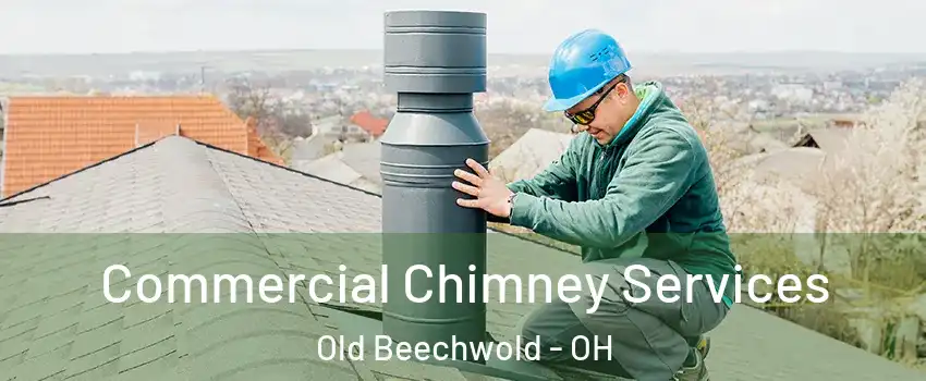 Commercial Chimney Services Old Beechwold - OH