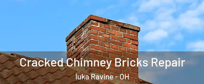 Cracked Chimney Bricks Repair Iuka Ravine - OH