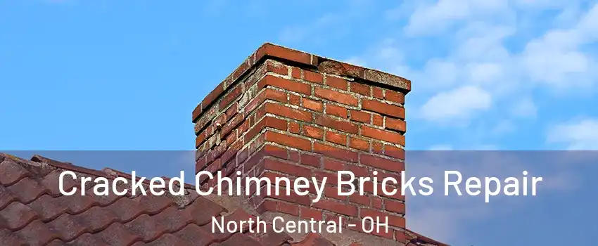 Cracked Chimney Bricks Repair North Central - OH