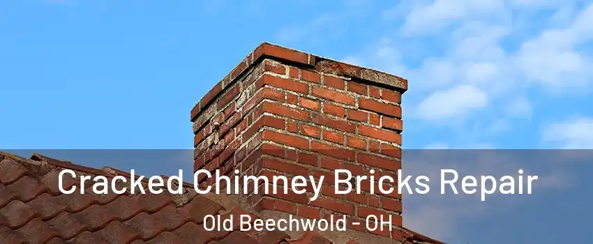 Cracked Chimney Bricks Repair Old Beechwold - OH