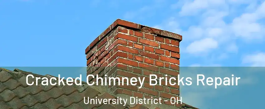 Cracked Chimney Bricks Repair University District - OH