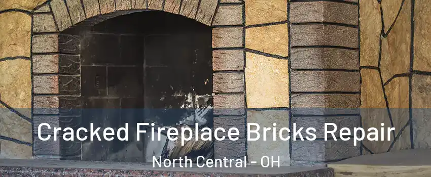 Cracked Fireplace Bricks Repair North Central - OH