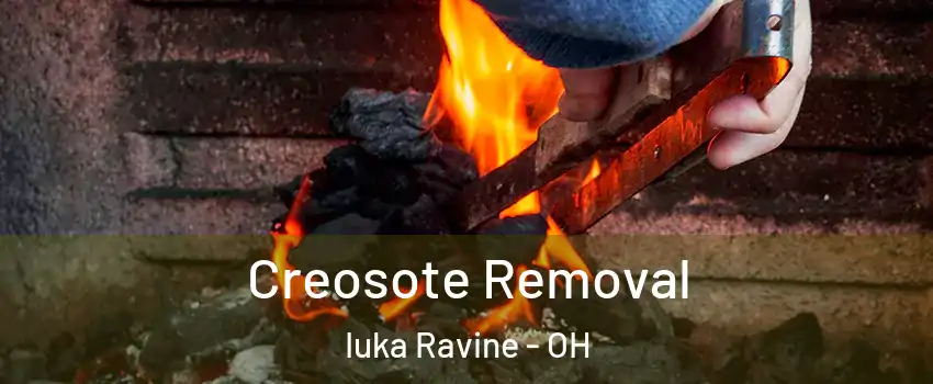 Creosote Removal Iuka Ravine - OH
