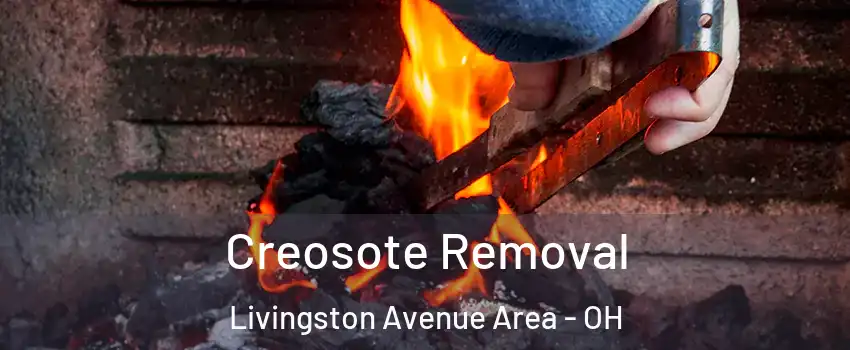 Creosote Removal Livingston Avenue Area - OH