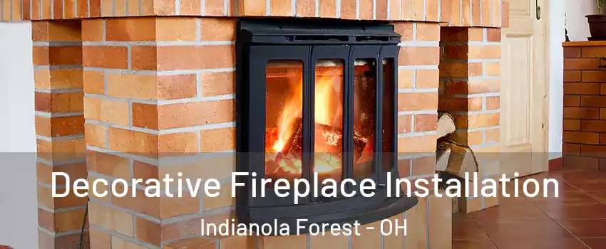 Decorative Fireplace Installation Indianola Forest - OH
