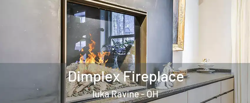 Dimplex Fireplace Iuka Ravine - OH