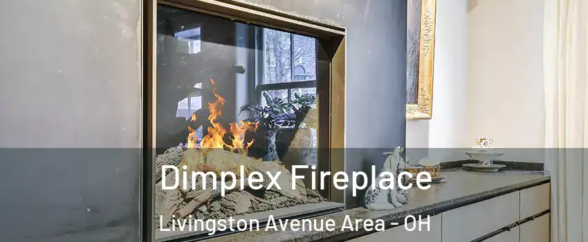Dimplex Fireplace Livingston Avenue Area - OH