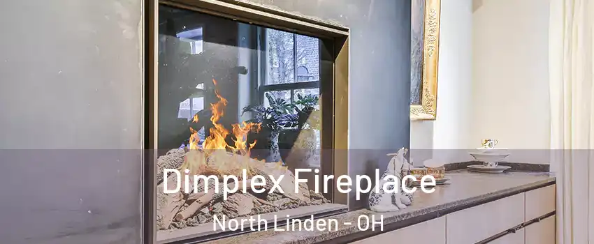 Dimplex Fireplace North Linden - OH