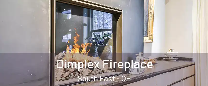 Dimplex Fireplace South East - OH