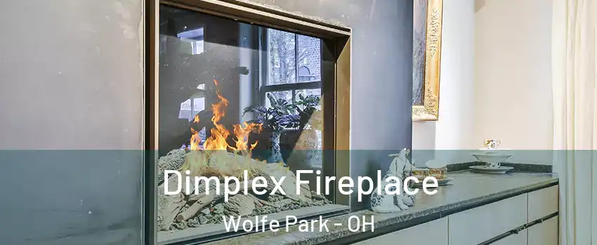 Dimplex Fireplace Wolfe Park - OH