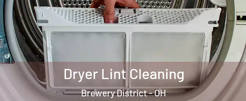 Dryer Lint Cleaning Brewery District - OH