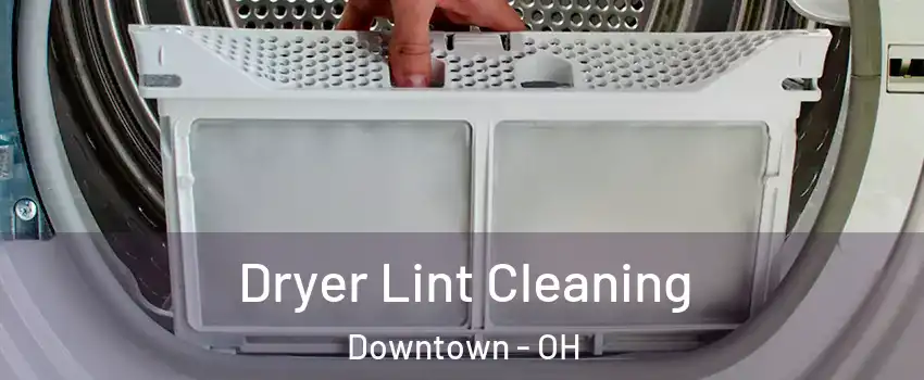 Dryer Lint Cleaning Downtown - OH