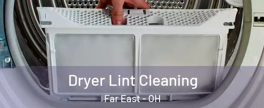 Dryer Lint Cleaning Far East - OH