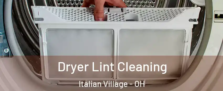 Dryer Lint Cleaning Italian Village - OH