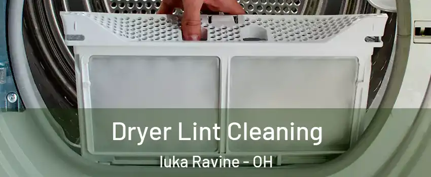 Dryer Lint Cleaning Iuka Ravine - OH