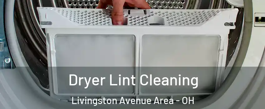 Dryer Lint Cleaning Livingston Avenue Area - OH