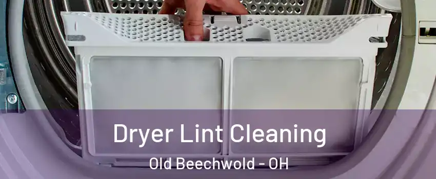 Dryer Lint Cleaning Old Beechwold - OH