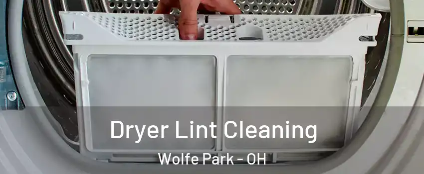 Dryer Lint Cleaning Wolfe Park - OH