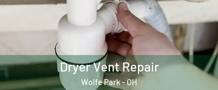 Dryer Vent Repair Wolfe Park - OH