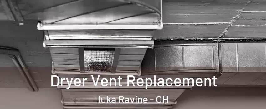 Dryer Vent Replacement Iuka Ravine - OH