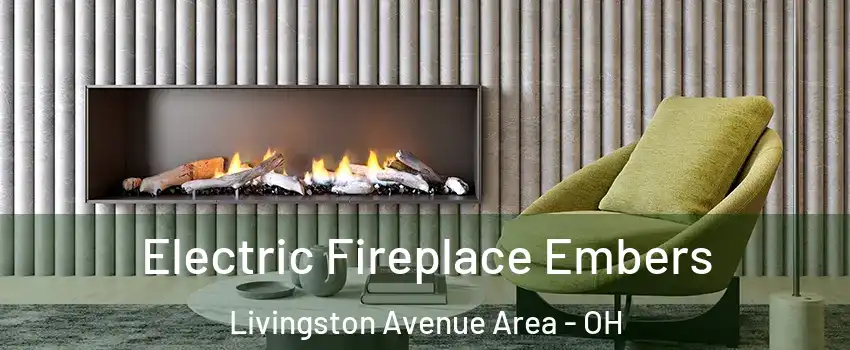 Electric Fireplace Embers Livingston Avenue Area - OH