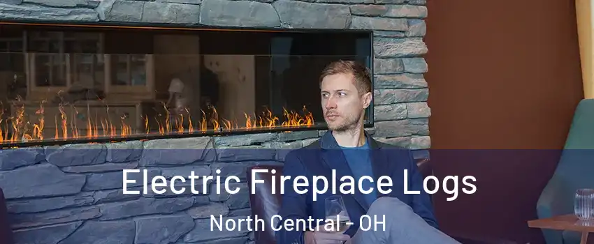 Electric Fireplace Logs North Central - OH