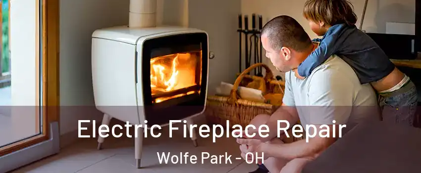 Electric Fireplace Repair Wolfe Park - OH