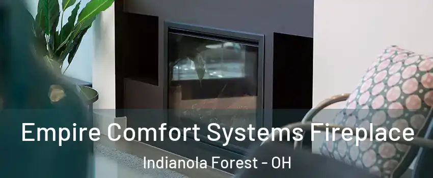 Empire Comfort Systems Fireplace Indianola Forest - OH