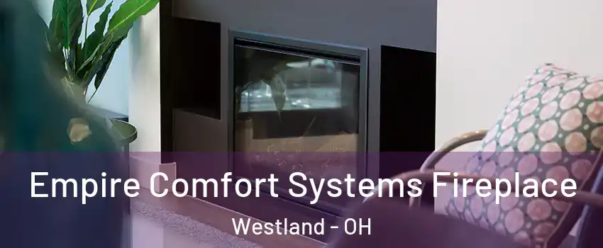 Empire Comfort Systems Fireplace Westland - OH