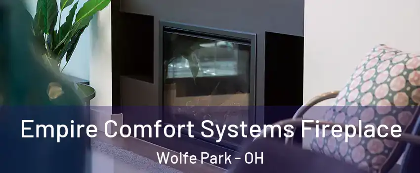 Empire Comfort Systems Fireplace Wolfe Park - OH