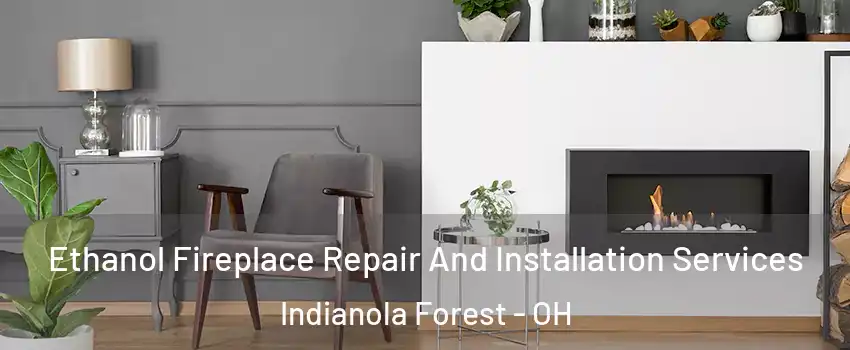 Ethanol Fireplace Repair And Installation Services Indianola Forest - OH