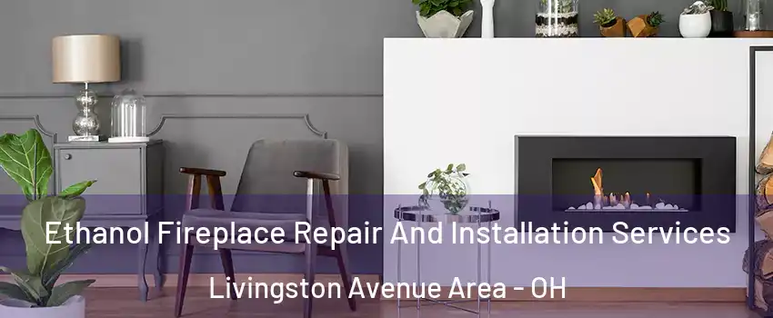 Ethanol Fireplace Repair And Installation Services Livingston Avenue Area - OH