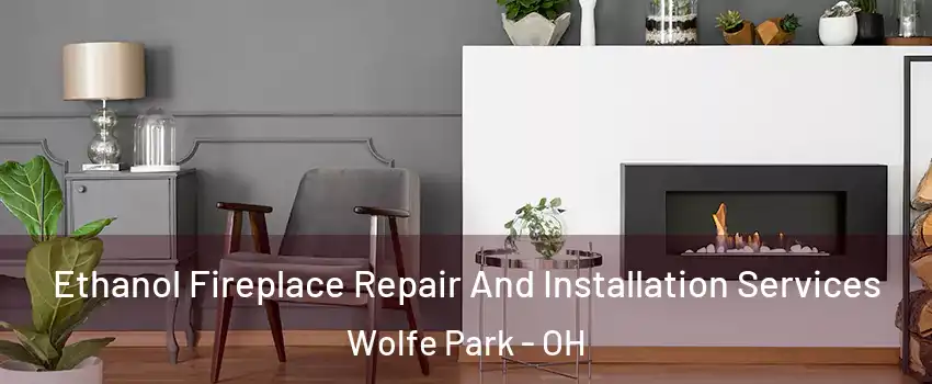Ethanol Fireplace Repair And Installation Services Wolfe Park - OH