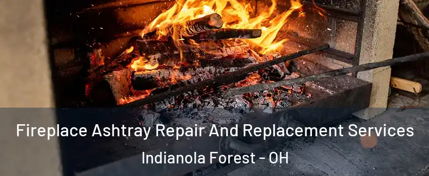 Fireplace Ashtray Repair And Replacement Services Indianola Forest - OH