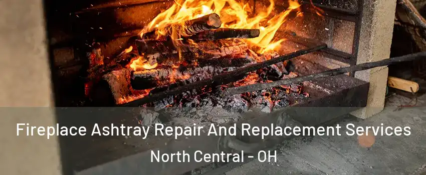 Fireplace Ashtray Repair And Replacement Services North Central - OH