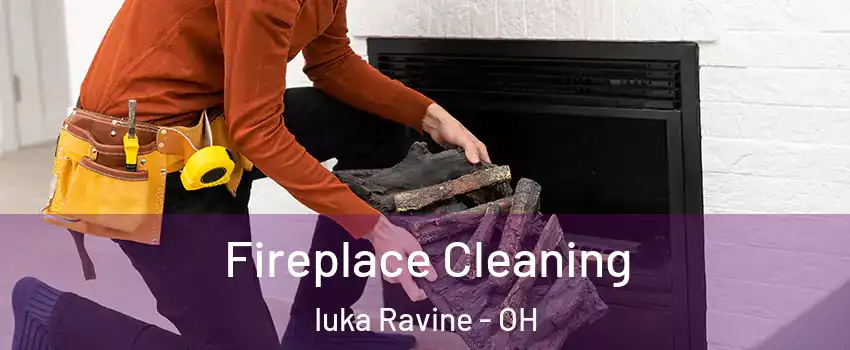 Fireplace Cleaning Iuka Ravine - OH