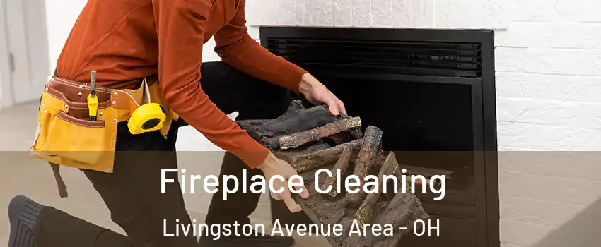 Fireplace Cleaning Livingston Avenue Area - OH