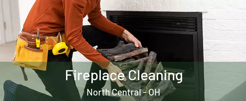 Fireplace Cleaning North Central - OH
