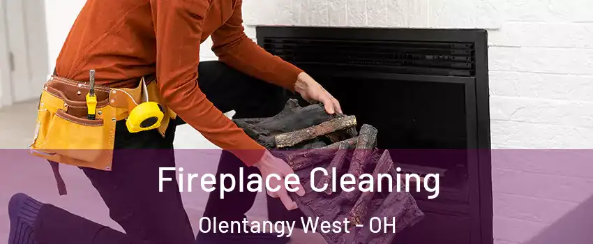 Fireplace Cleaning Olentangy West - OH