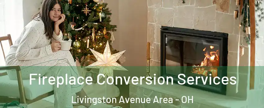 Fireplace Conversion Services Livingston Avenue Area - OH