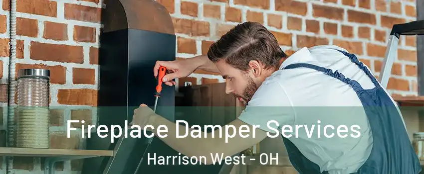 Fireplace Damper Services Harrison West - OH