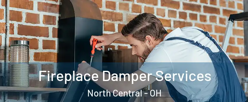 Fireplace Damper Services North Central - OH
