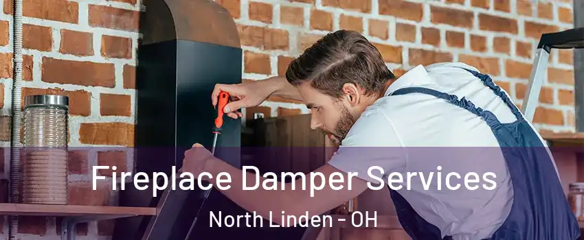 Fireplace Damper Services North Linden - OH