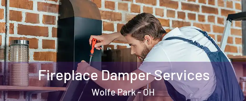 Fireplace Damper Services Wolfe Park - OH