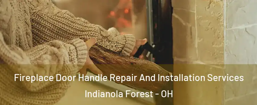 Fireplace Door Handle Repair And Installation Services Indianola Forest - OH