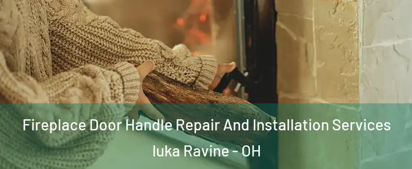 Fireplace Door Handle Repair And Installation Services Iuka Ravine - OH