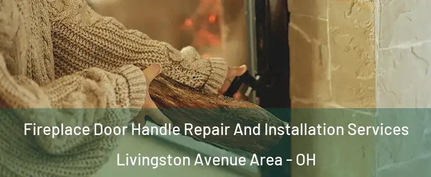 Fireplace Door Handle Repair And Installation Services Livingston Avenue Area - OH