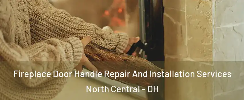 Fireplace Door Handle Repair And Installation Services North Central - OH