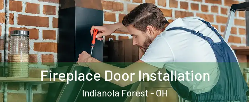 Fireplace Door Installation Indianola Forest - OH