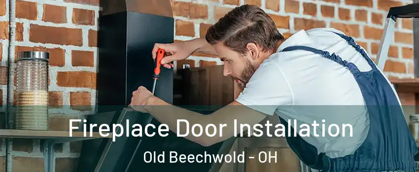 Fireplace Door Installation Old Beechwold - OH
